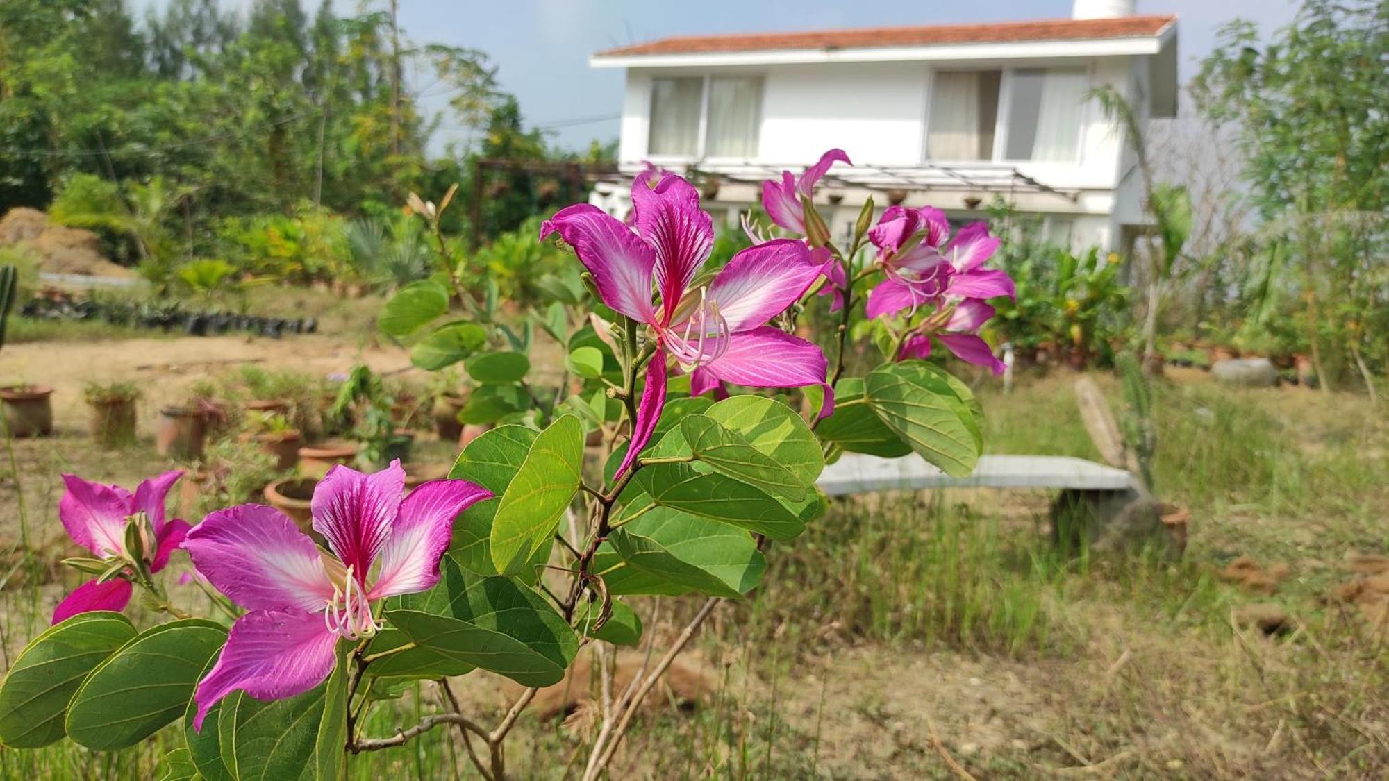 Vaksana Farm Stay Gudraippattu Kültér fotó