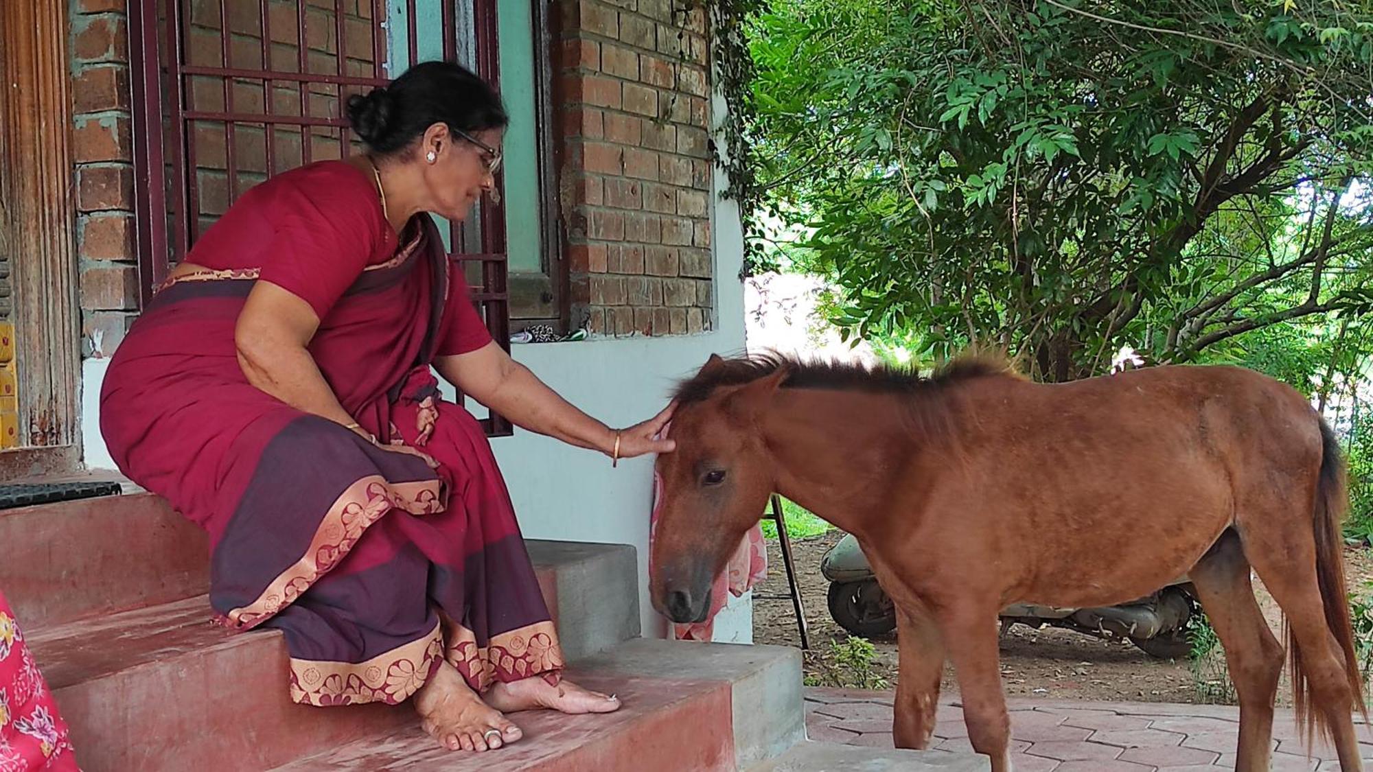 Vaksana Farm Stay Gudraippattu Kültér fotó