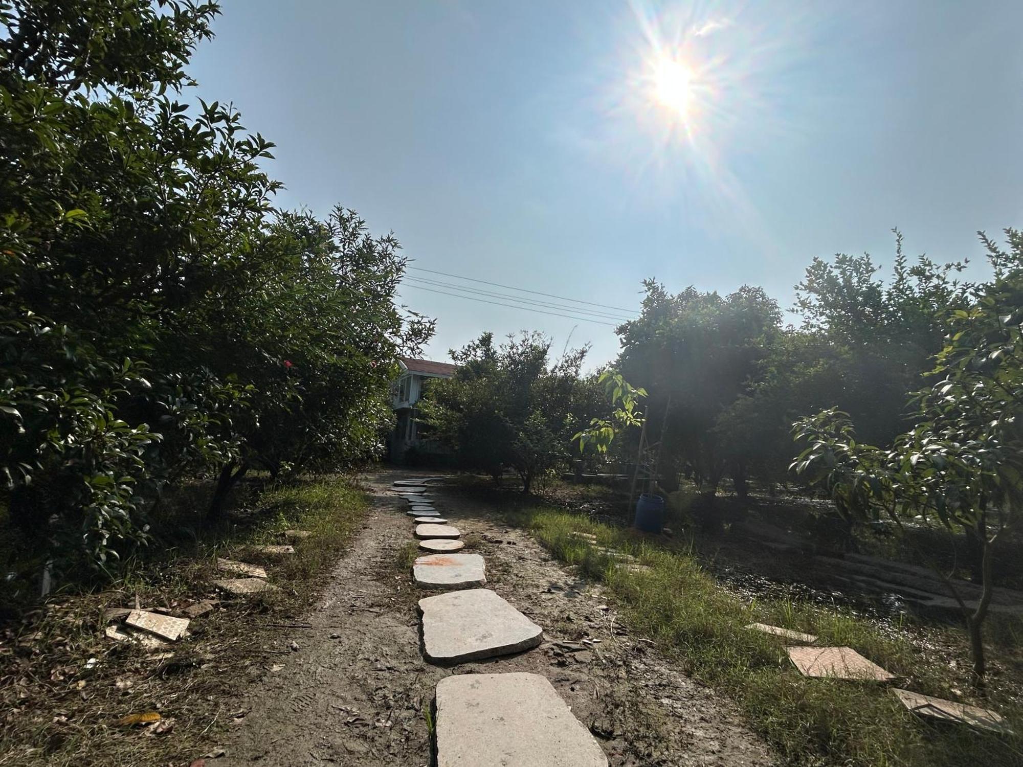 Vaksana Farm Stay Gudraippattu Kültér fotó
